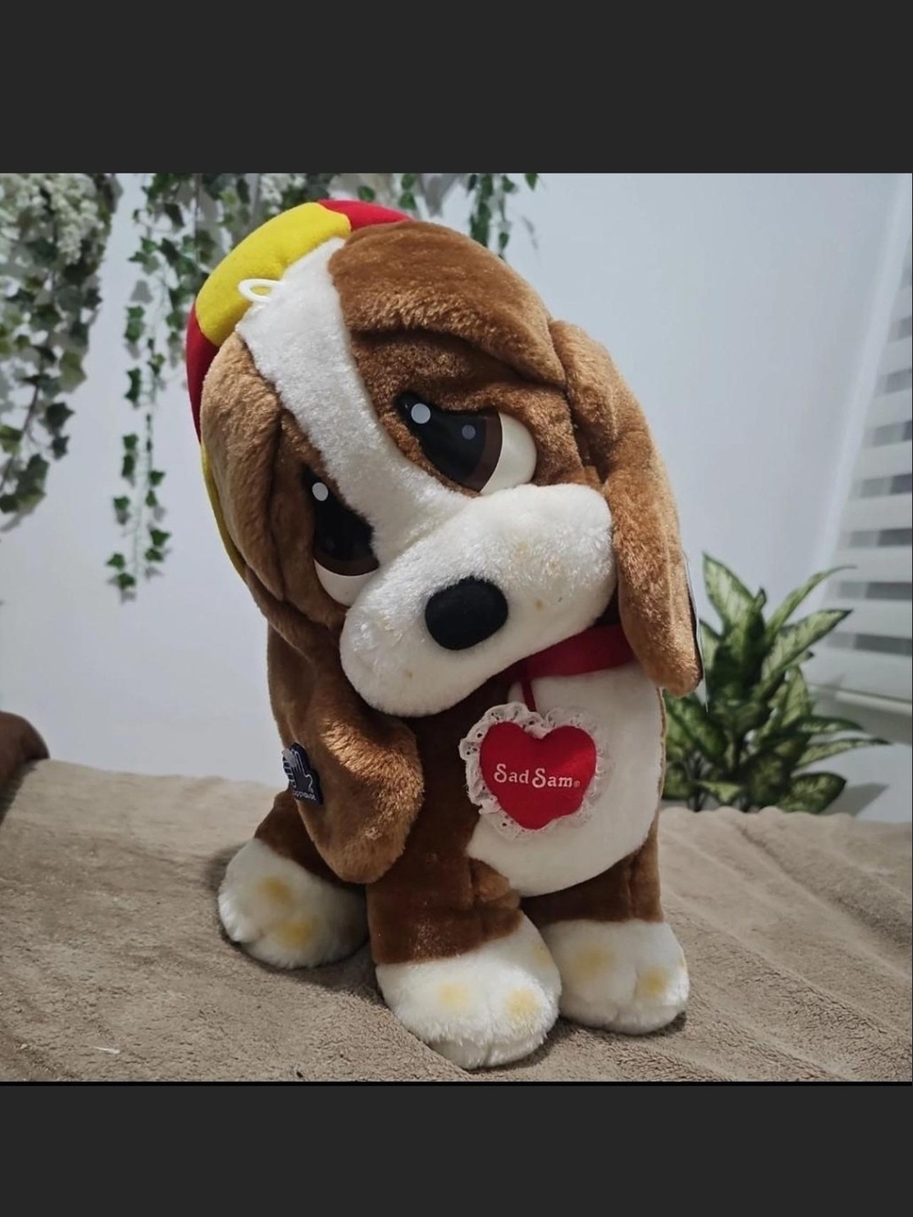 Sad Sam Plush Dog Toy - Brown and White Plush Puppy